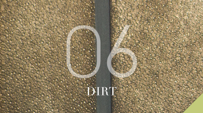 06 DIRT