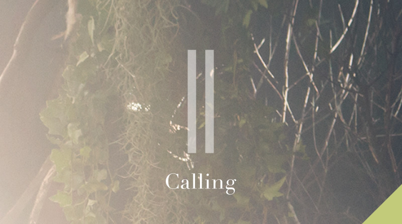 11 Calling